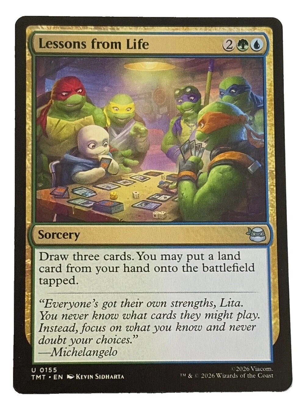 Lessons from Life Teenage Mutant Ninja Turtles Regular